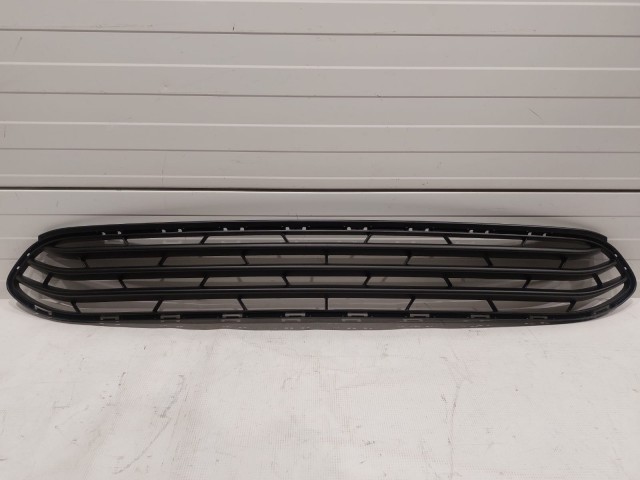 Lower Grille
